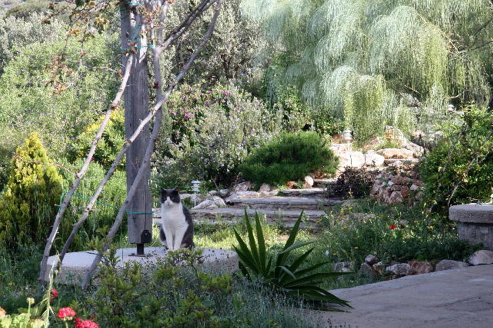 To The Garden Guest House Angairia Bagian luar foto